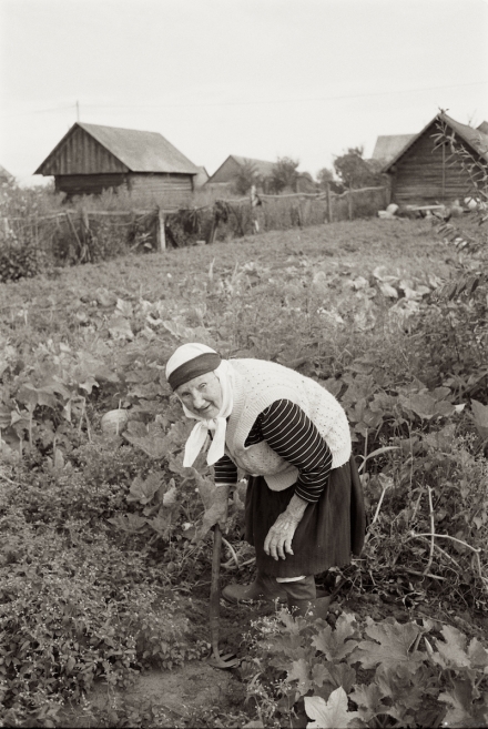 5.Babulja-Prosja-at-101-Harvesting-Potatoes-Tsjerablichy-2019-2019180-16A