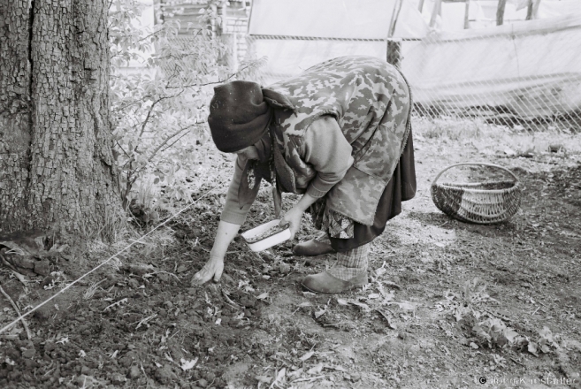 Granny Vul'ljana 1934-2015, 2011123-22.jpg