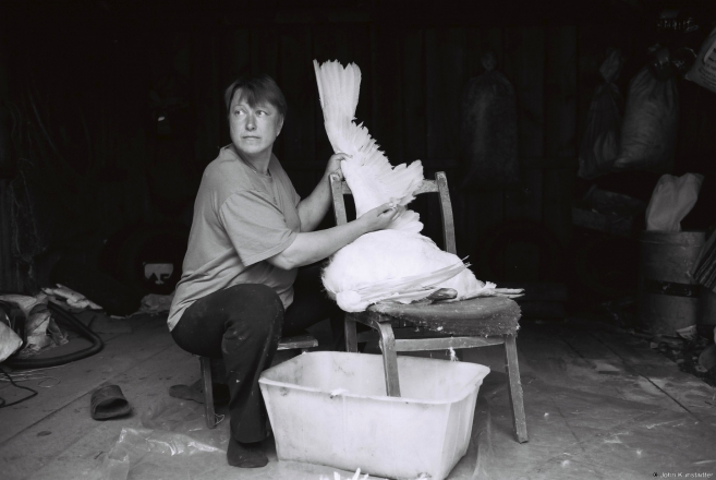 5.Family-Farming-in-Polesia-Plucking-a-Gooseскубеньне-гусі-Tsjerablichy-2016-2016165b-22A