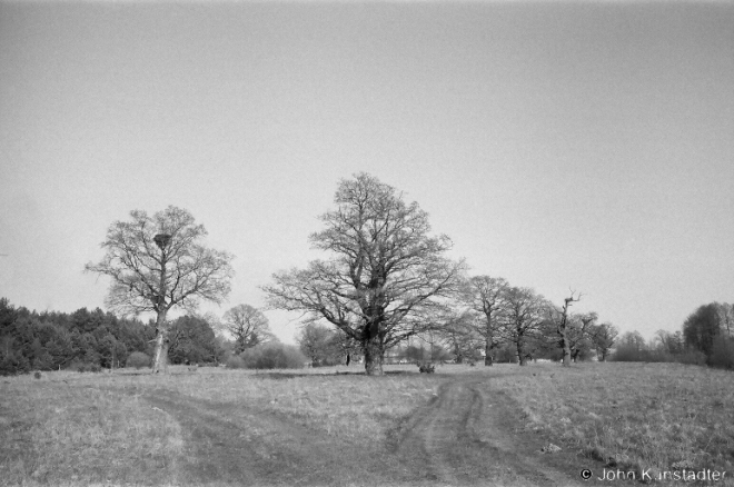 5.Oak-Grove-Panjamon-2009-2009112-27