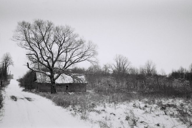 Photo Expedition to Chervjen' District, Paljadki 2015, F1010005(2015017- (2)
