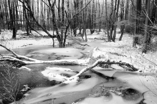 5.River Krajshchanka, Krajsk 2016, 2016354-11A (65200011