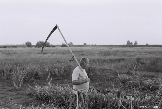 5.Scything Reeds for Trinity, Tsjerablichy 2016, 2016218- (F1070022