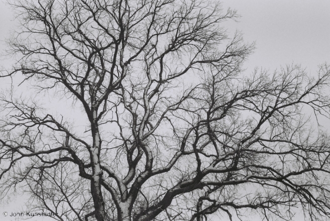 5.Winter in Polesia (Pripet Marshes), Tsjerablichy 2012, 2012022-4A