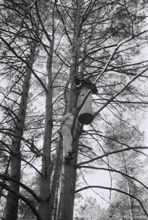 5a.Checking Kaloda No. 2 (Empty), Baranou Rog, Tsjerablichy Woods 2018, 2018257_34A