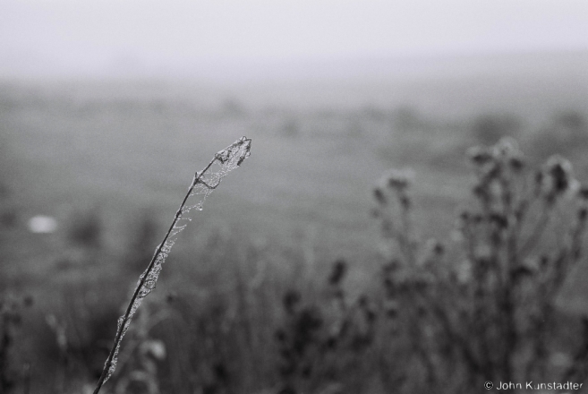 October Fog, Tsjerablichy 2014, F1140018(2014373-