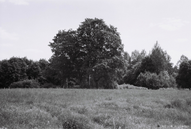 5a.Spragowski-Family-Cemetery-Near-Filipautsy-2018-2018141a_15A