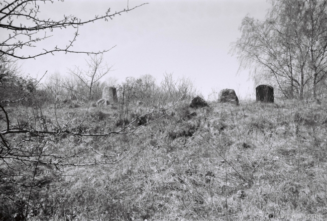 5a.Tatar Cemetery, Karelichy 2018, 2018085_07A