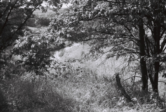 5a.View-toward-River-Alshanka-from-German-World-War-I-Cemetery-Dzjasjatniki-2019-2019197_15A