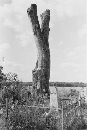 5b.Cemetery-Chapun-2019-2019194-5A