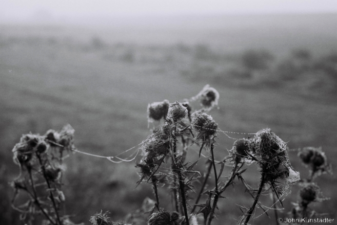 October Fog, Tsjerablichy 2014, F1140020(2014373-