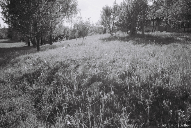5b.Milidaushchyna 2017, 2017127a- (F1160017