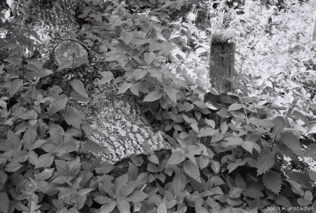 5e.Spragowski-Family-Cemetery-Near-Filipautsy-2018-2018141a_24A