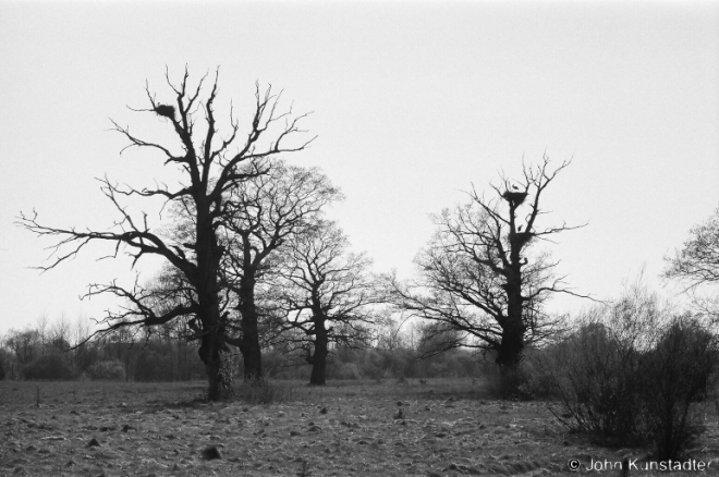 6.Oak-Grove-Panjamon-2009-2009112-17