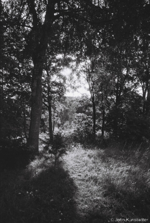 6.Zastsjennje-2019-2019128a_22A