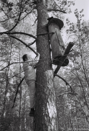 6a.Kaloda No. 4, Koshjeuskoje Podradounje, Tsjerablichy Woods 2018, 2018257_05A