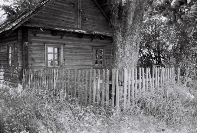 6a.Old Fence, Hudzjenjaty (Hudzinjenta) 2018, 2018120_31A