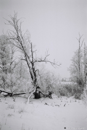 6a.River Ros' between Kalantai and Lychytsy 2017, 2017011- (F1010017