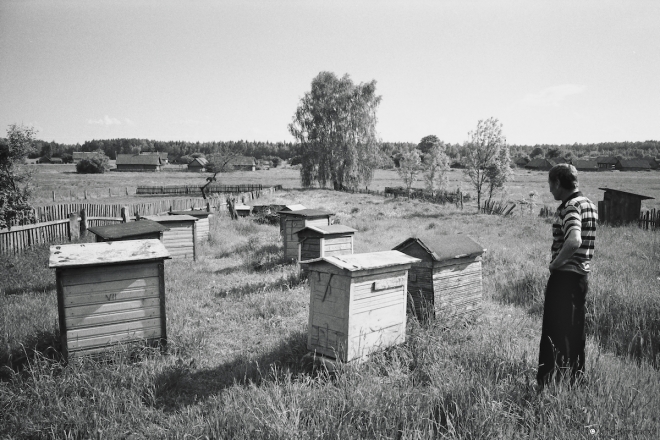 6b.Beekeeper-Mikalaj-Mjelniki-Hantsavichy-Dist.-2014-2014177-31A