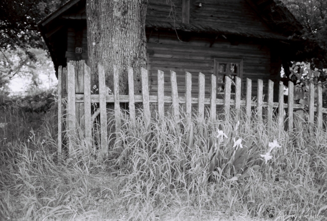 6b.Old Fence, Hudzjenjaty (Hudzinjenta) 2018, 2018120_32A