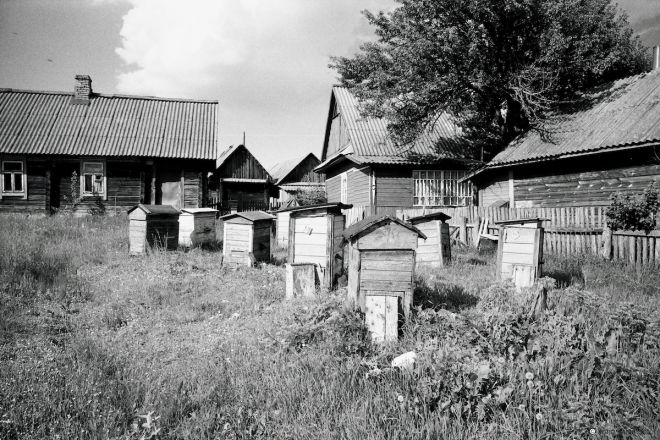 6c.Beekeeper-Mikalajs-Hives-Mjelniki-Hantsavichy-Dist.-2014-2014177-32A