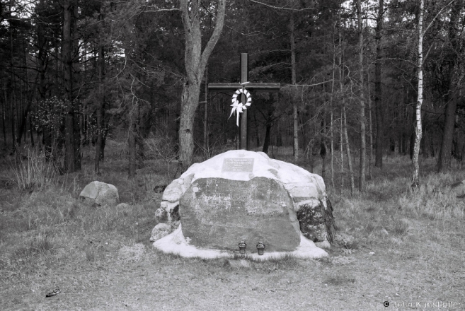 6c.Monument-to-Uprising-of-1863-Patsavichy-2015-2015123-