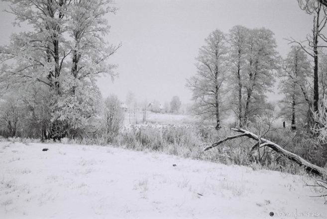 6c.River Ros' between Kalantai and Lychytsy 2017, 2017011- (F1010019