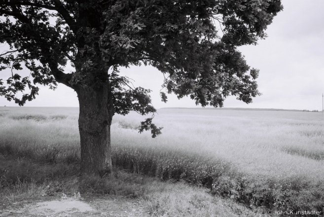 6d.West of Mots'kautsy 2017, 2017169- (F1090015