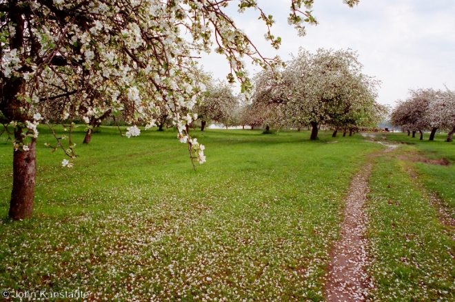 7-by-lake-janava-2001-2001071b-36a