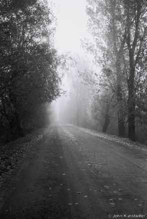 October Fog, Tsjerablichy 2014, F1160033(2014372b-