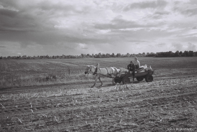 7.Homeward with the Potato Harvest, Tsjerablichy 2013, 2013312-4A