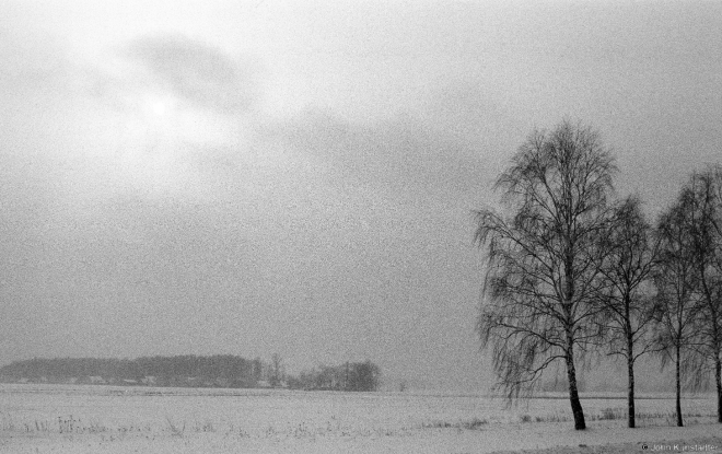 7.Near Ljonki (Slutsk-Staryja Darohi Road) 2017, 2017026a-12A(2)