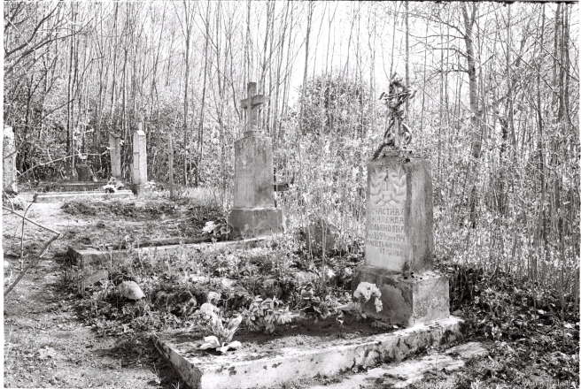 7a.Luchajka Cemetery 2016, 2016147-0A (000001
