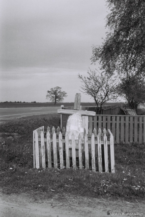 7b.Crosses of Belarus XX, Cross (with Oak in Background), Varonina 2014, 2014127-30A