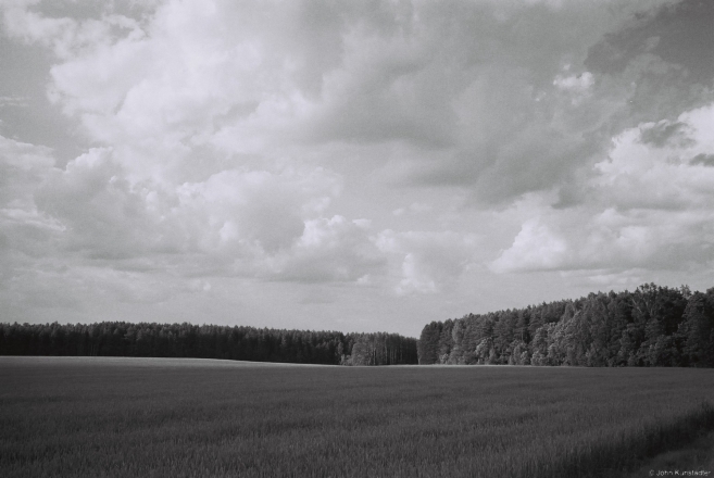 After Orkavichy 2014, 2014254-