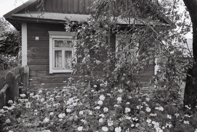 8.Autumn-in-Polesia-Panjatsichy-Pinsk-District-2012-2012299-21A