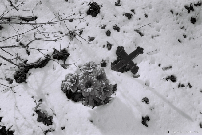 8.Crosses of Belarus XXV, Nadzjonavichy 2015, 2015046-29A.jpg
