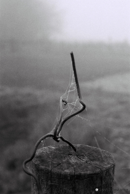 8.Waiting-Tsjerablichy-2014-2014094-0A