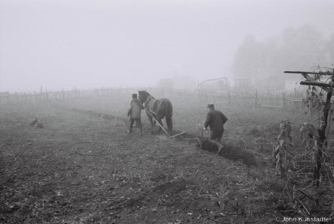October Fog, Tsjerablichy 2014, F1160030(2014372b-