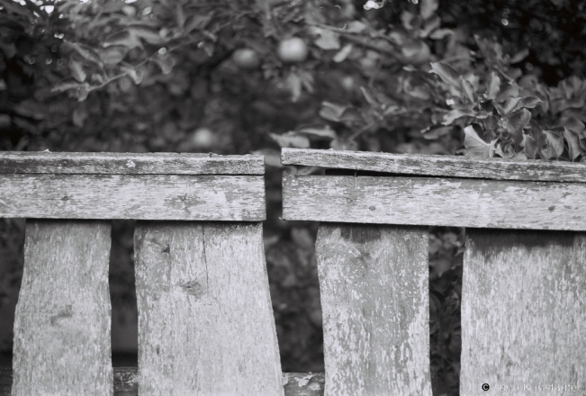 8.Fence, Tsjerablichy 2018, 2018187_34