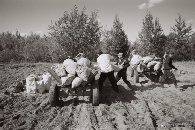 8.Harvesting-Potatoes-Tsjerablichy-2014-2014339-14A