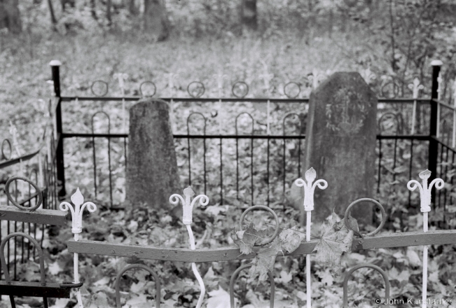 8a.Family-Cemetery-Park-of-Former-Vankovich-Estate-Shypjany-2018-2018288b_29A