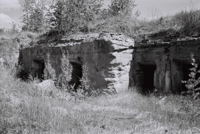8a.World War I German Bunker, nr. Ljeshchanjaty 2017, 2017132- (F1020024
