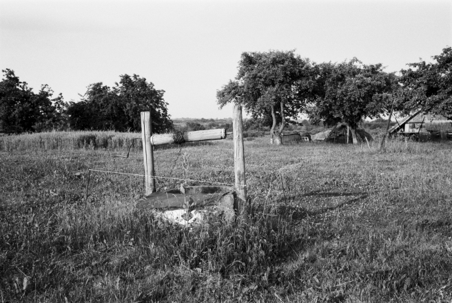 8b.Wellhead-in-Early-Morning-Light-Papshychy-2019-2019074b-27