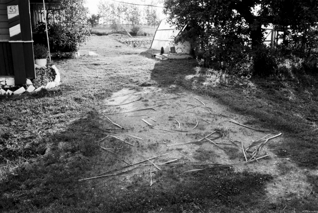 8c.Early-Morning-Light-Reeds-Strewn-for-Pentecost-Papshychy-2019-2019074b-30