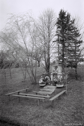 8c.Roadside Marian Shrine, Ljabjady (Ljebjadzi) 2015, F1110008(2015120-8A