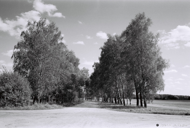9.Former-Estate-Allee-Back-Road-from-Papoutsy-Vjaljejka-Dist.-to-Vojstam-2018-2018218_31A