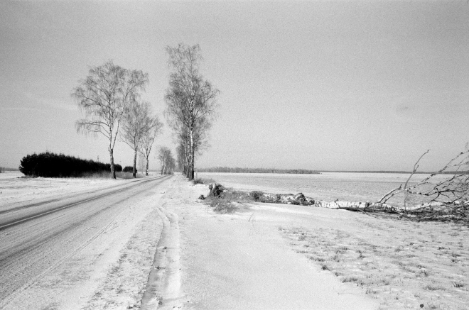 9a.Beginning of Dauhinau-Apjen'ki Road 2016, 2016355-14A (65180014