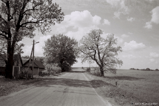 9d.Oak-Tree-Bjalavichy-Masty-District-2013-2013154-14A