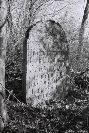 9h.Tatar Cemetery, Zabalots'tsje (Karelichy District) 2018, 2018086_17